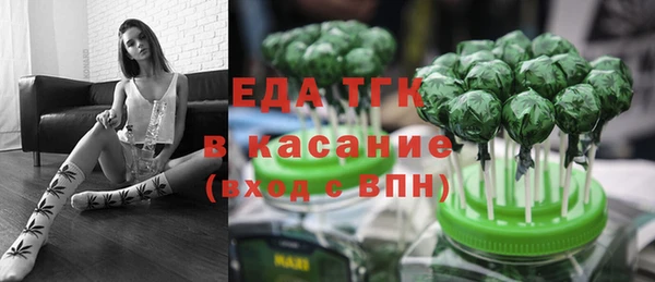 гидра Богородицк