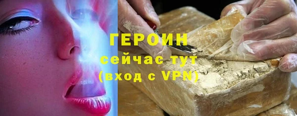 гидра Богородицк
