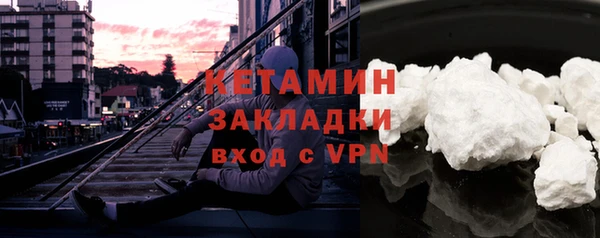 индика Богданович