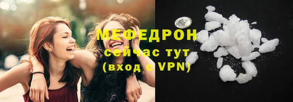 гидра Богородицк