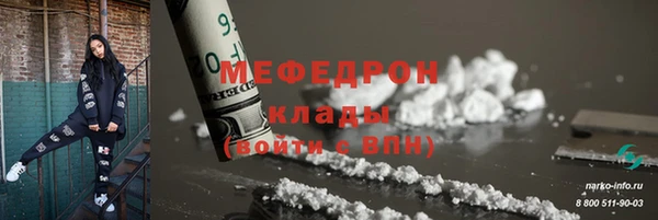 гидра Богородицк