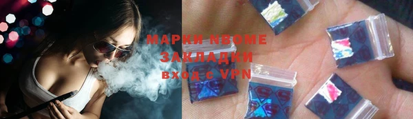 гидра Богородицк