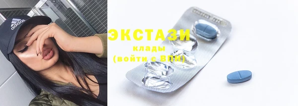 индика Богданович