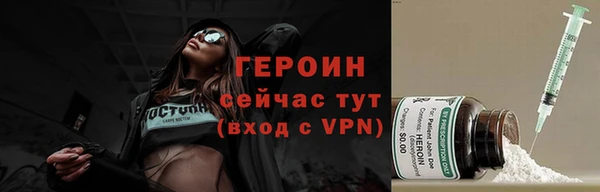 индика Богданович