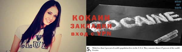 индика Богданович