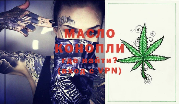 индика Богданович