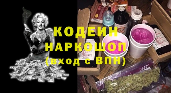 гидра Богородицк