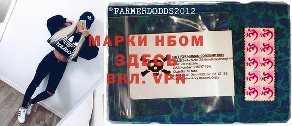 индика Богданович