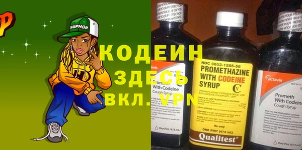 индика Богданович