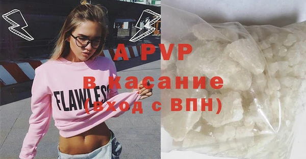 индика Богданович