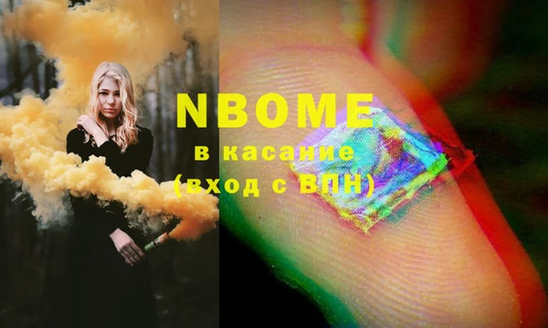индика Богданович