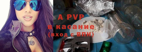 гидра Богородицк