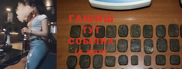 гидра Богородицк