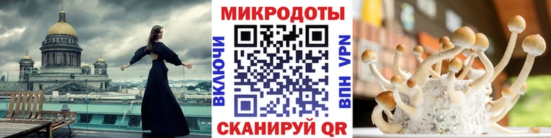 Галлюциногенные грибы Psilocybe  Луховицы 